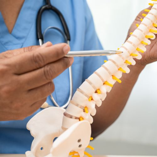 Orthopaedic Consultation